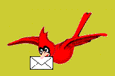 Cardinal with letter