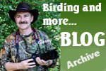 Link to Our Blog