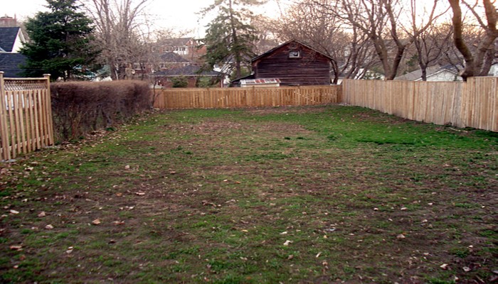 Garden, before