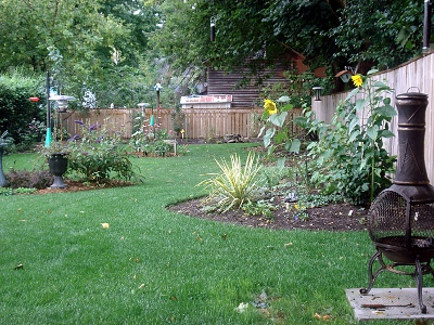 Garden, Sept 2008